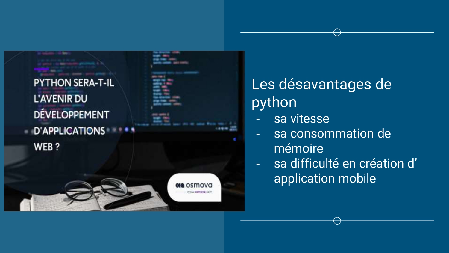 désavantage de python